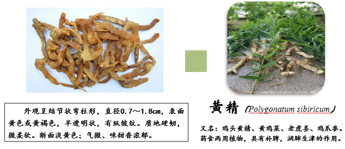 ；龙江.png