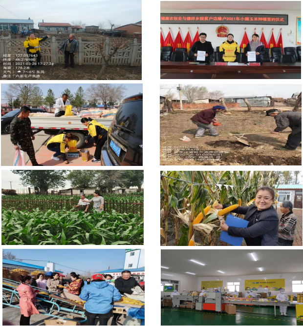 图片9.png