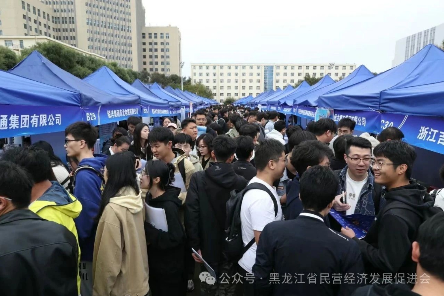 微信截图_20241010163515.png