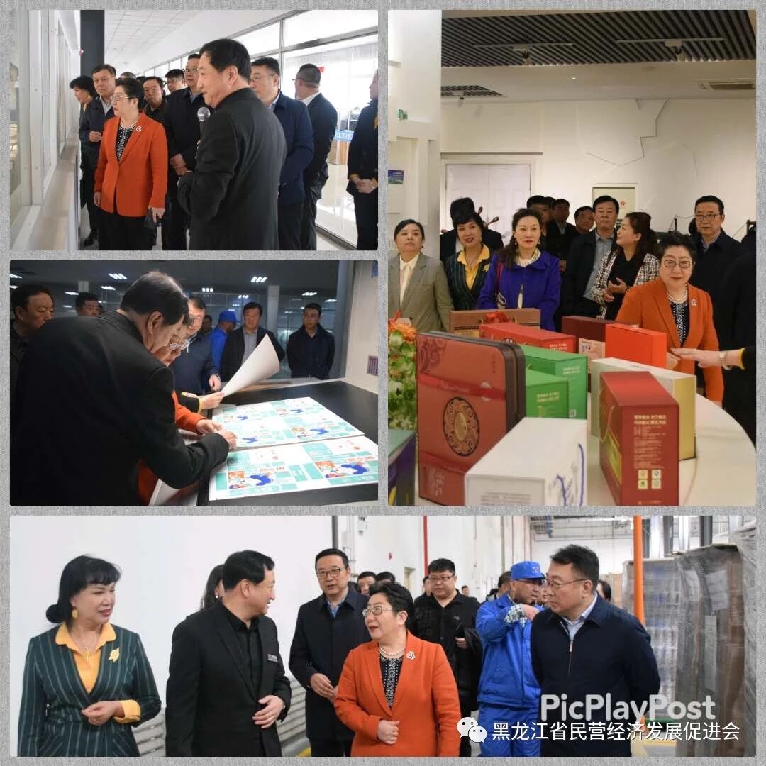 1770278372476561.jpg 微信图片_2026-02-05_155851_309.jpg